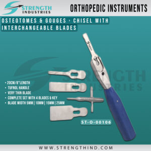 Chisel With Interchangeable Blades