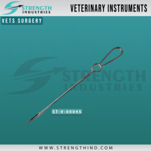 Vets Surgery