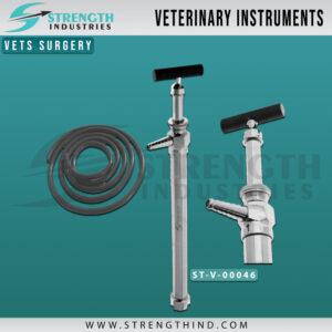 Vets Surgery