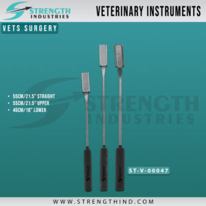 Vets Surgery