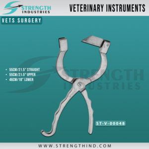 Vets Surgery