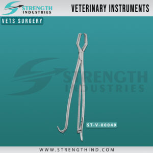 Vets Surgery