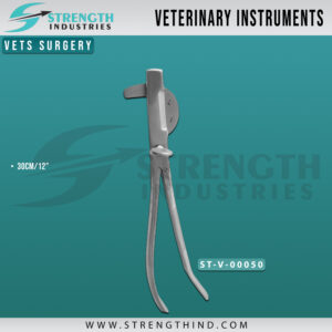 Vets Surgery