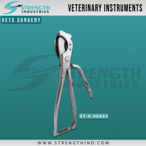 Vets Surgery