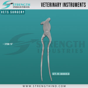 Vets Surgery