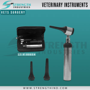 Vets Surgery
