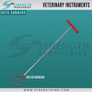 Vets Surgery