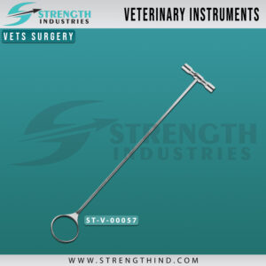 Vets Surgery