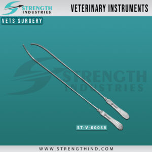 Vets Surgery