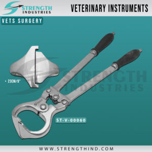 Vets Surgery