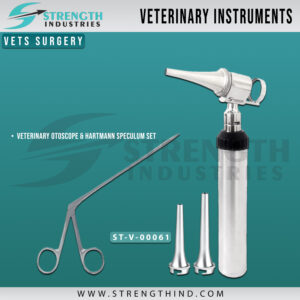 Vets Surgery