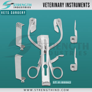 Vets Surgery