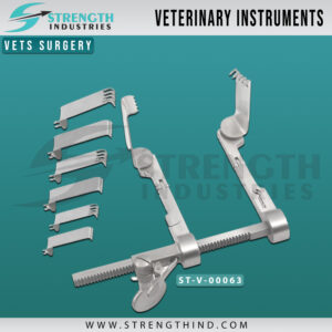 Vets Surgery