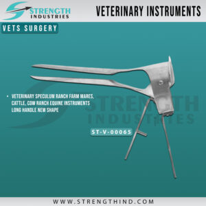 Vets Surgery