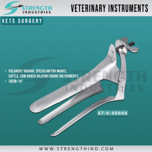 Vets Surgery
