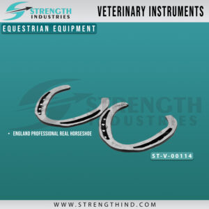 Equestrian Equipment
