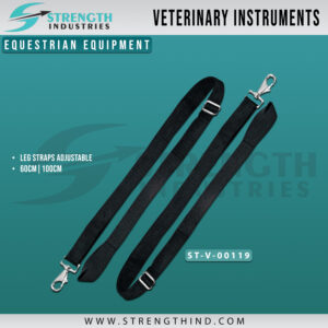 Equestrian Equipment