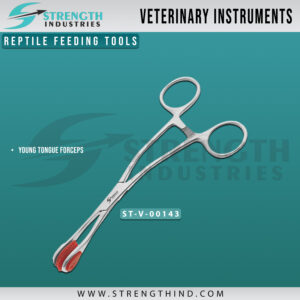 Reptile Feeding Tools