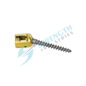 6.0 Polyaxial Pedicle Screw System